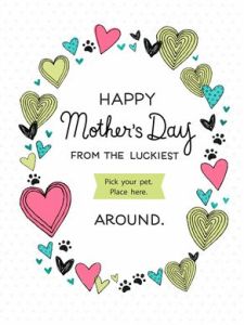 635972654714815275-Screen-Shot-2016-04-26-at-11.01.02-AM