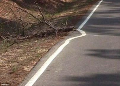 article-2458073-18b7e4f800000578-183_634x460