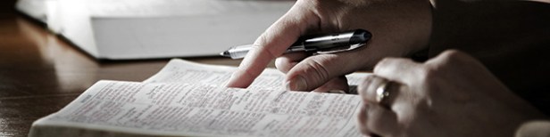 what-the-bible-says-about-the-bible_whitepaper_header